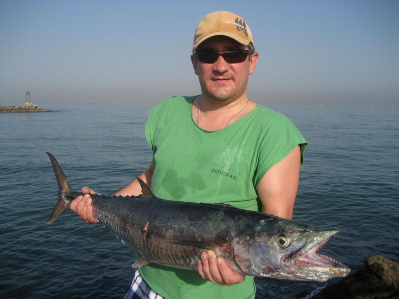 A65CA UnitedArabEmirates A65CA UnitedArabEmirates